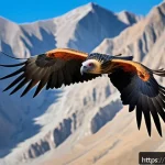 타지키스탄의 독특한 동물군 - A majestic bearded vulture soaring high above the rugged mountain peaks of Tajikistan, wings fully s...